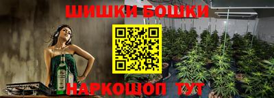 наркотики Сланцы