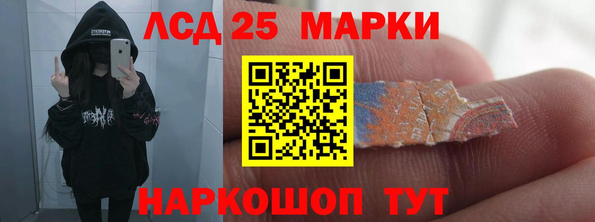 Лсд 25 экстази ecstasy  Лсд 25 экстази ecstasy  Вход с VPN  Новозыбков 