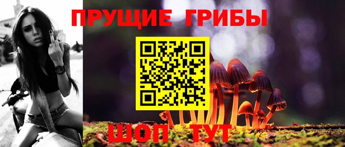 Галлюциногенные грибы мухоморы  Вход с VPN  Новозыбков 