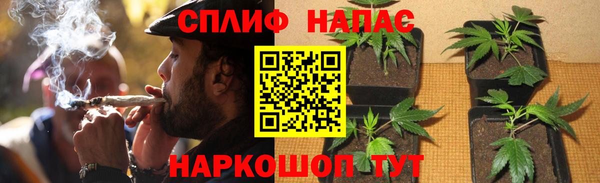 Каннабис White Widow Новозыбков